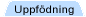 /Uppf�dning\